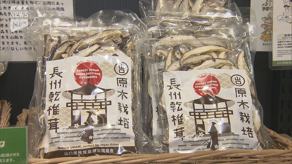 外国人にもアピール～県椎茸農業協同組合が新たなパッケージデザインの「干しシイタケ」を発売