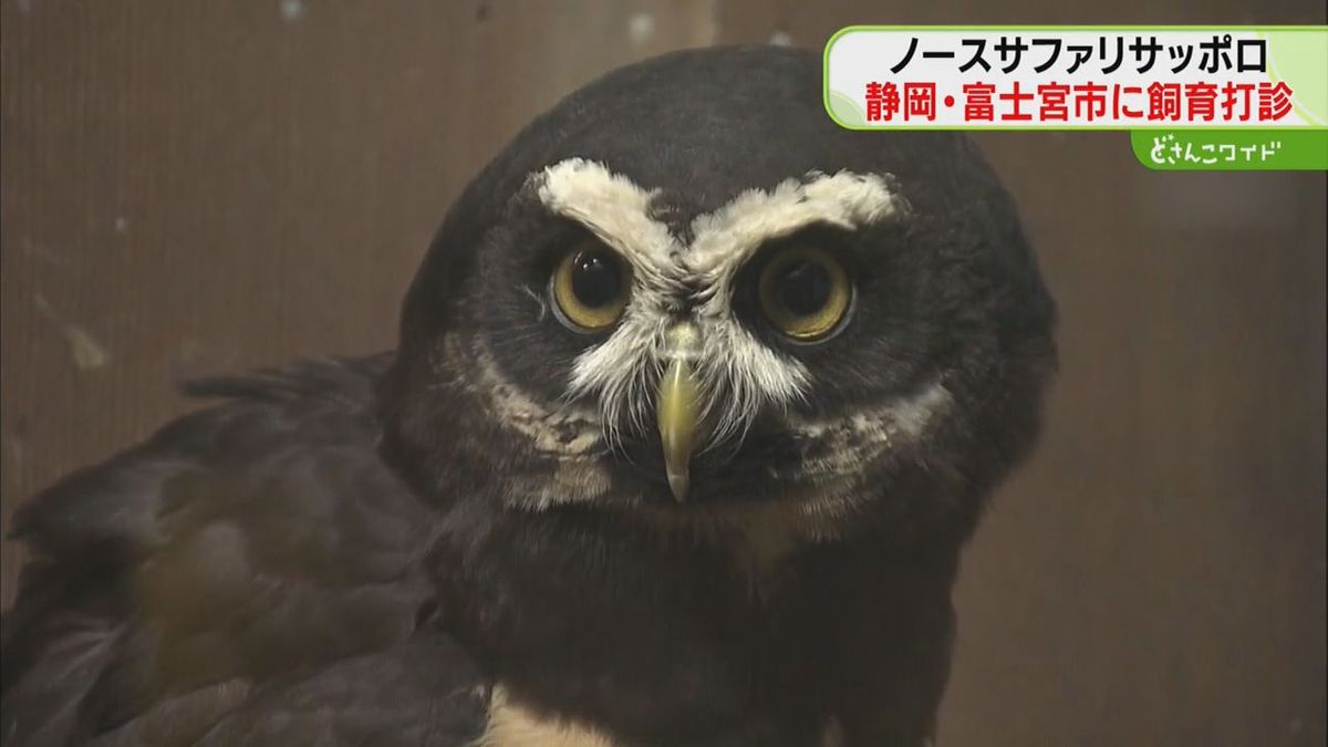 小型動物の飼育打診　９月末で閉園予定「ノースサファリサッポロ」　支店設置の静岡・富士宮市に