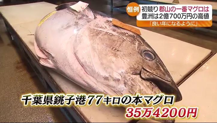 「良い年になるように…」郡山での「一番マグロ」は35万4200円！