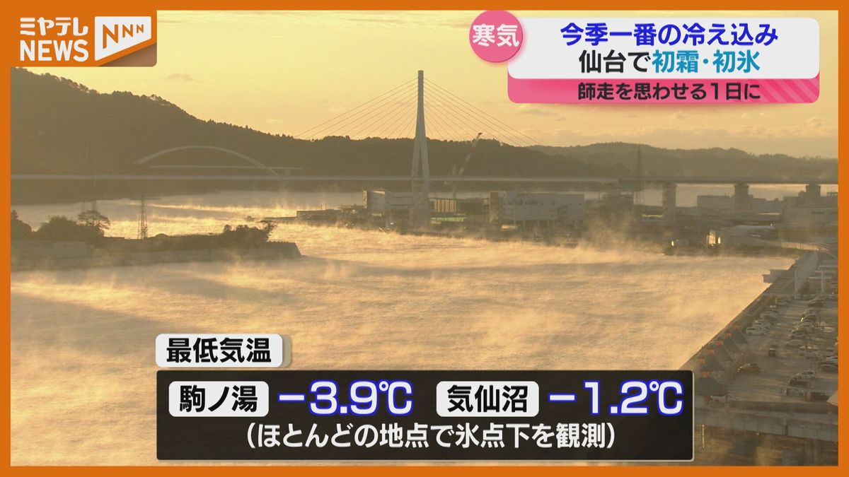 ＜冬の到来を思わせる寒さ＞仙台で『初霜』と『初氷』観測　宮城は今シーズン一番の冷え込み