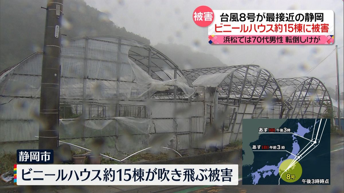 台風8号が最接近　静岡から中継　ビニールハウス約15棟被害　70代男性が風にあおられ転倒も