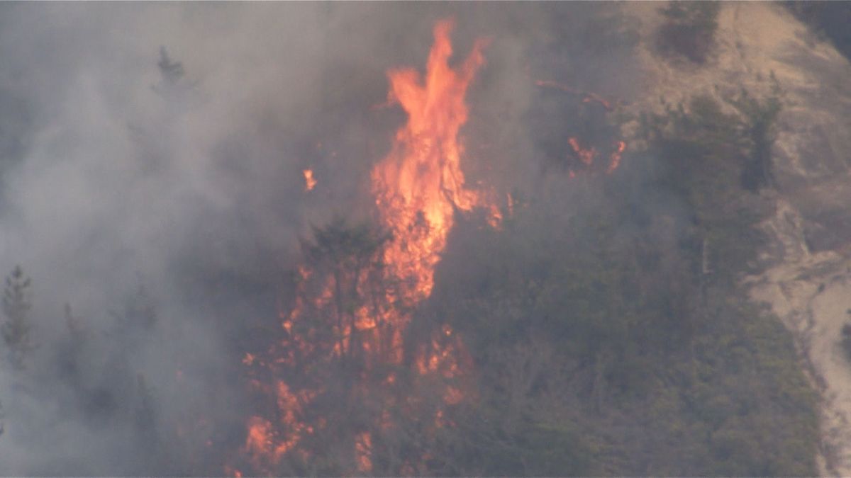 【続報】江田島市で山火事　自衛隊射撃場から出火の可能性　爆薬を使用した訓練を実施　広島