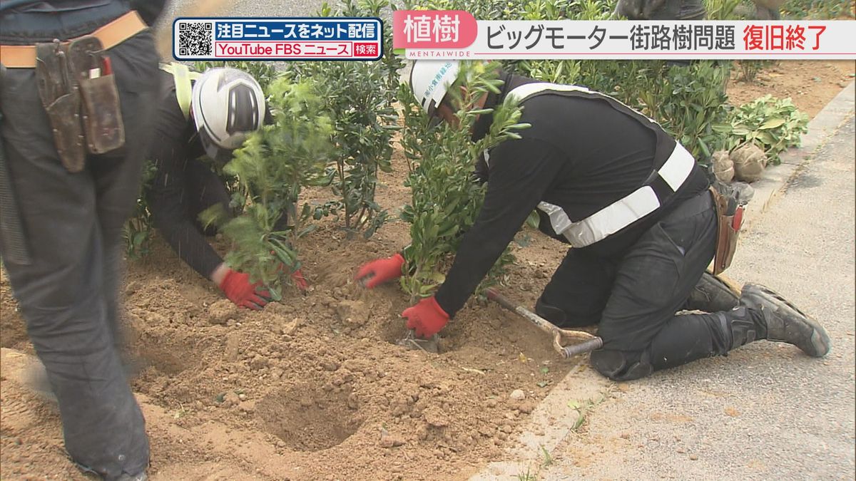 ビッグモーター前の街路樹　北九州市の2店舗にイチョウの木などを植え付け復旧作業が終了　　
