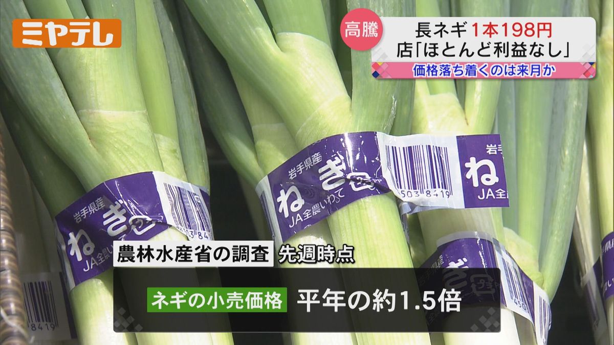 【今が旬のネギ】「猛暑」の影響で生育不良　恒例の「ねぎまつり」中止（宮城・角田市）