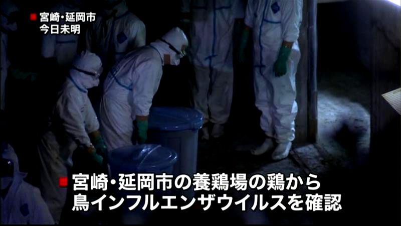 宮崎の養鶏場で鳥インフル確認、４千羽処分