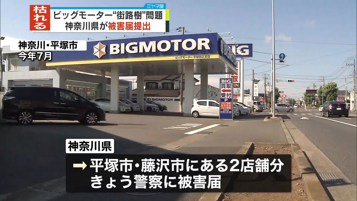 ビッグモーター“街路樹”問題で神奈川県が被害届提出　茨城県はつくば店前で土壌採取