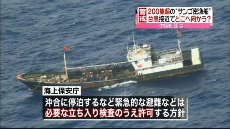 サンゴ密漁船“台風緊急避難”許可へ～海保