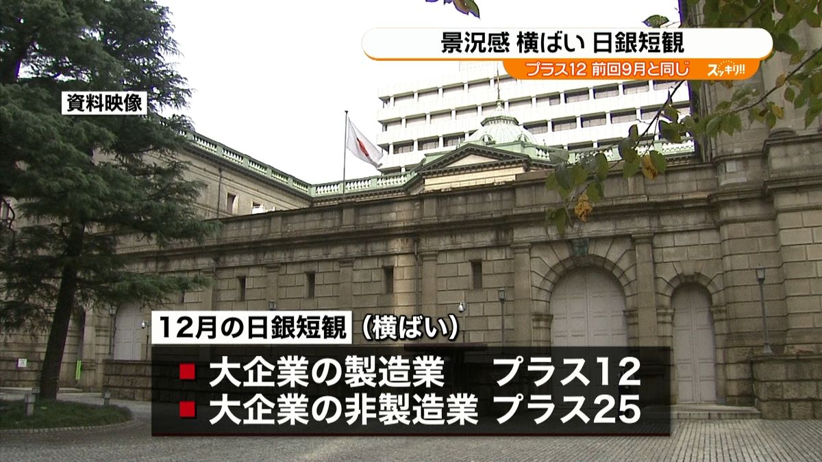 日銀短観　大企業製造業＋１２　横ばい