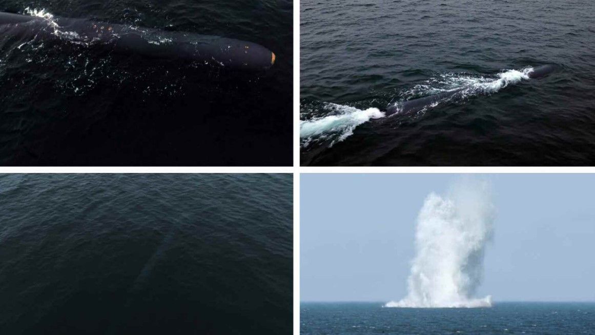 北朝鮮　日本海で核無人水中攻撃艇を再び実験