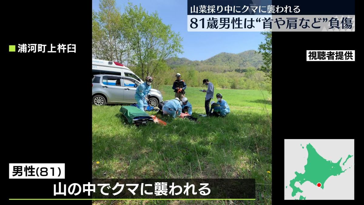 山菜採り中にクマに襲われ…81歳男性がケガ　北海道浦河町