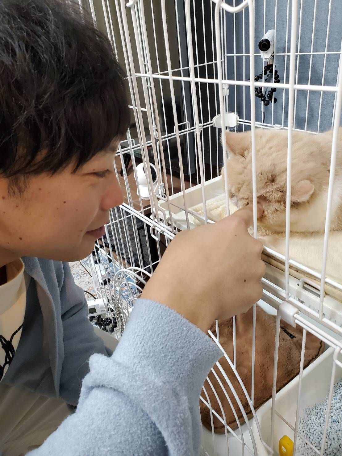 保護猫と生活を共にするティモンディ・前田裕太さん