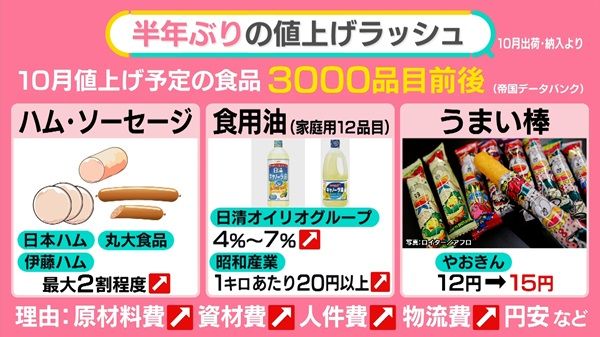 10月は“値上げラッシュ” 「うまい棒」12円→15円で…相次ぐ応援「20円でも」「企業努力すごい」【#みんなのギモン】（2024年9月25日掲載）｜日テレNEWS  NNN