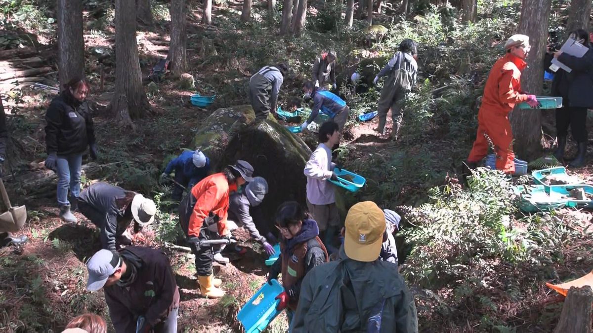 生物多様性の森林づくりに向けて…市有林の整備約40人が参加 　草刈りや倒木の撤去など作業持続可能な森林経営目指す　三重・尾鷲市 市有林「みんなの森」