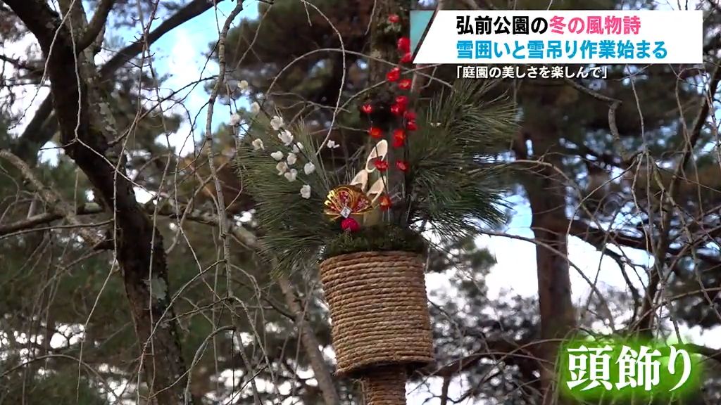 冬支度　弘前公園の風物詩「頭飾り」今年は？／寒風に揺れる“柿すだれ”　青森県弘前市・南部町