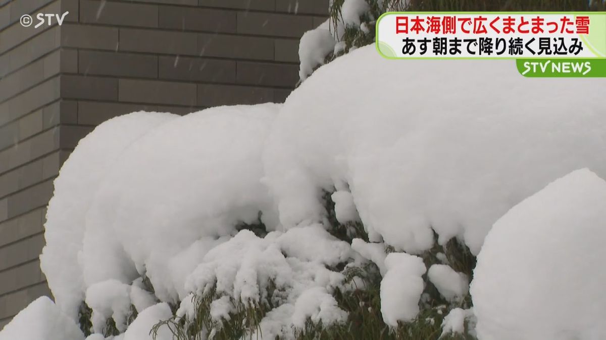 北海道内で広くまとまった雪　翌朝まで降り続く見込み