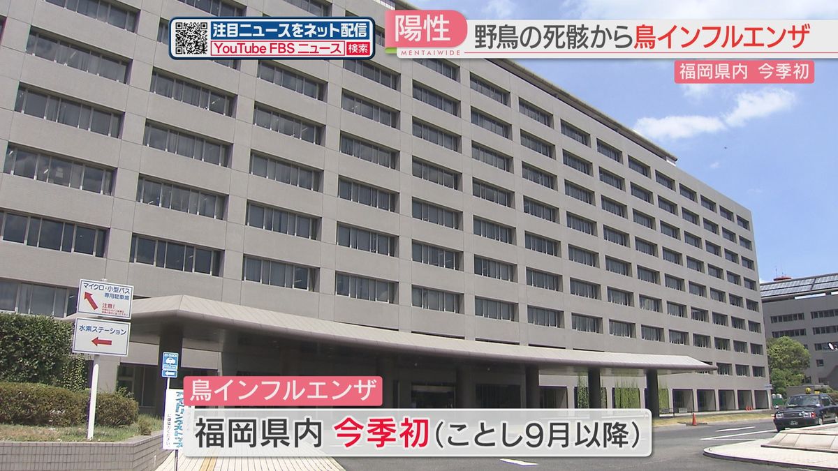 死んだ野鳥から鳥インフルエンザの陽性反応　県内で今季初　付近の養鶏場などで異常は確認されず　福岡