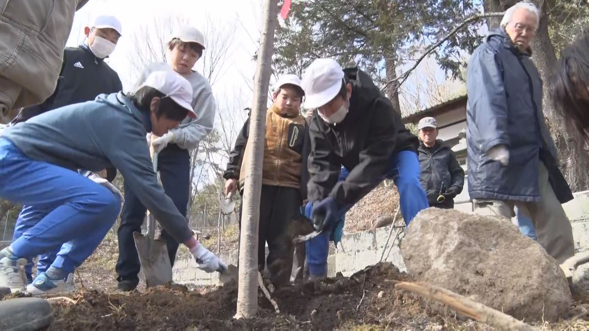 「この場所でみんなでサクラを見ようね」故郷を忘れない思い出作り　卒業控えた小学６年生がサクラの植樹　