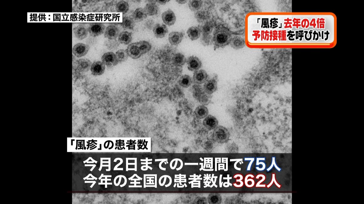 「風疹」患者数　この５年間で最多に