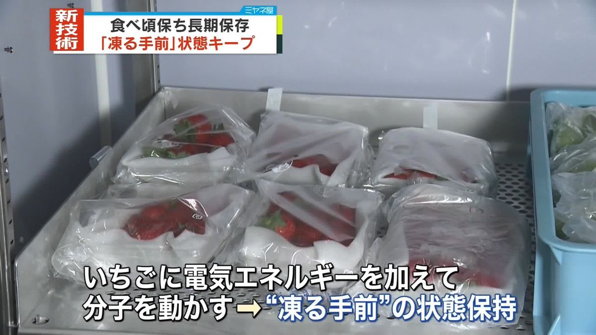 新技術　肉・魚…食べ頃の状態で長期保存　NTT東日本グループなど