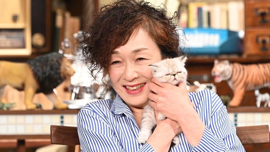 俳優のキムラ緑子、2匹の愛猫にガチ恋 かわいすぎる “ちゅぱちゅぱ行動” にメロメロ 