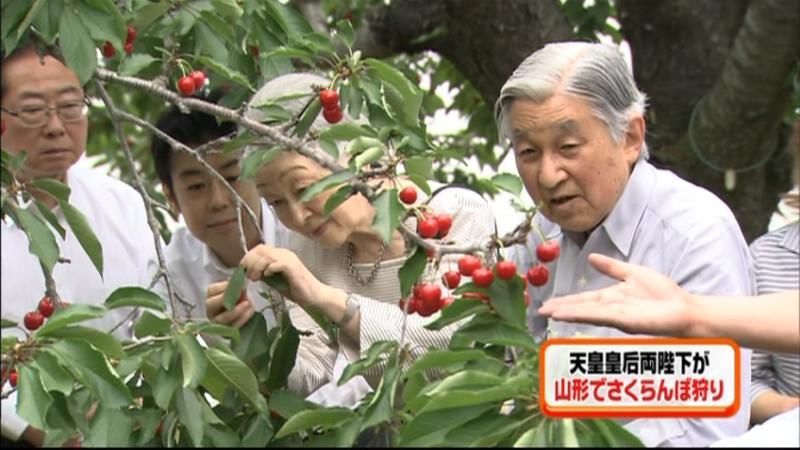 私的ご旅行　両陛下が初のさくらんぼ狩り