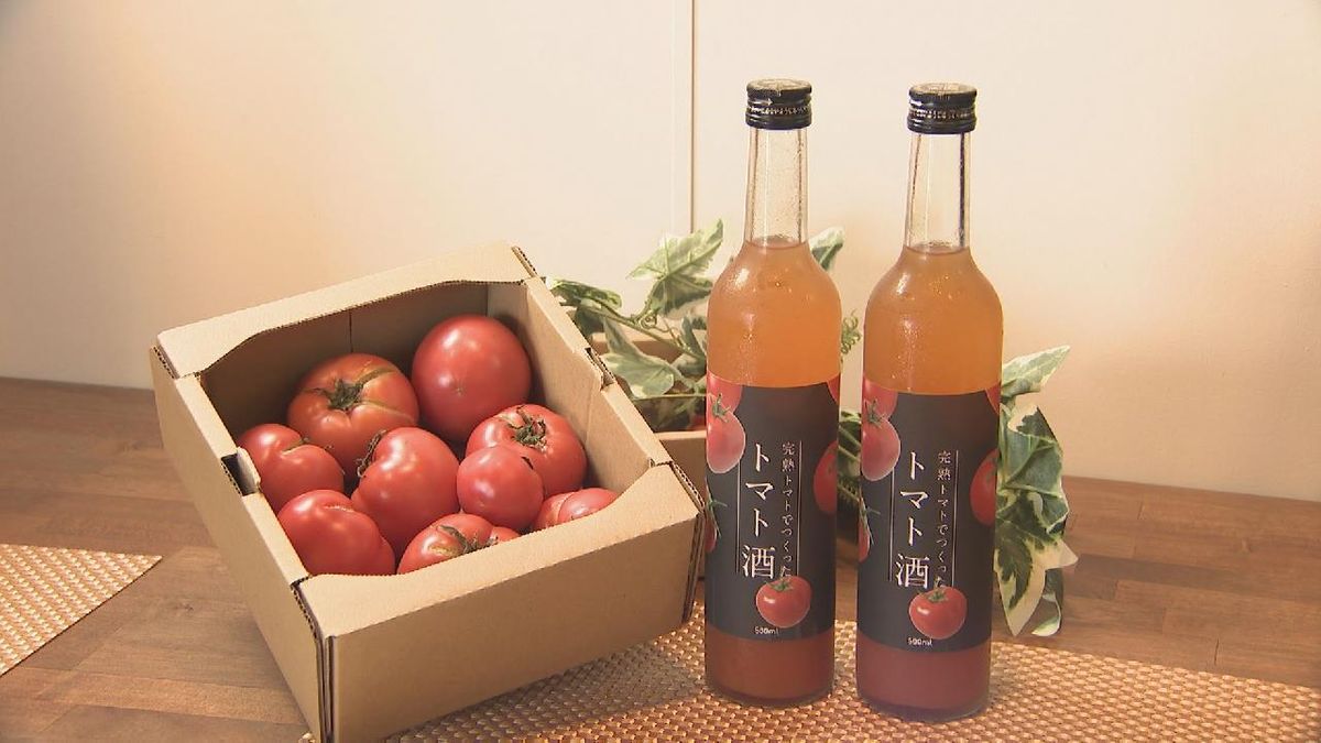 １０月１０日は｢トマトの日｣　完熟トマトを使ったお酒　愛知・東郷町