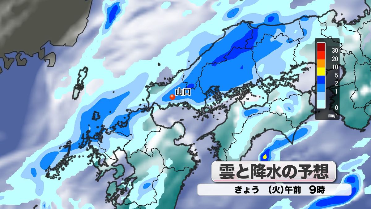 雲と降水の予想