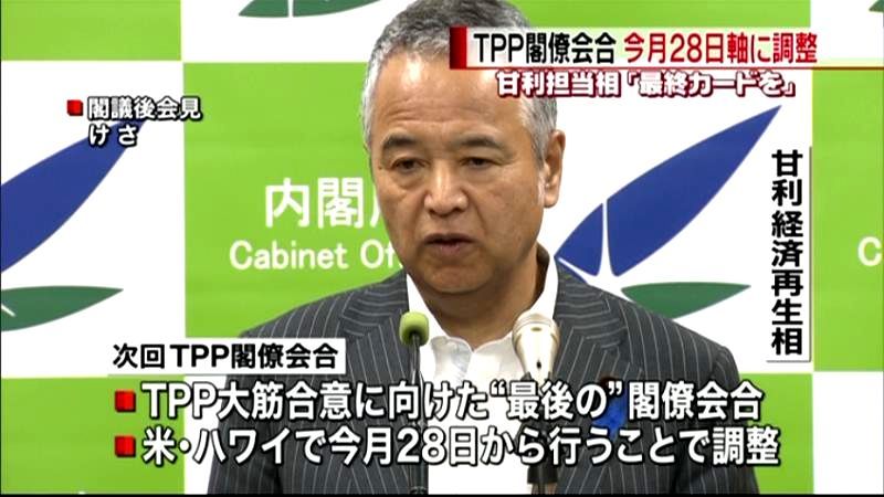 ＴＰＰ閣僚会合２８日からハワイ開催で調整