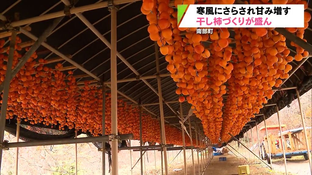 風に揺れるオレンジ色　特産の干し柿づくり盛ん　青森県南部町