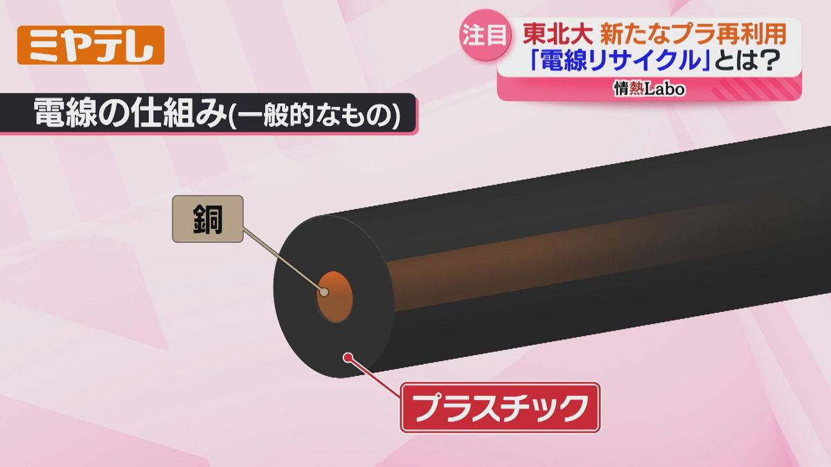 注目、新たなプラスチック再利用…”電線”リサイクルとは？その可能性を探る（東北大学）