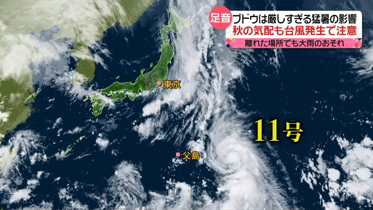 関東地方では気温下がり秋の気配も…台風と秋雨前線に注意