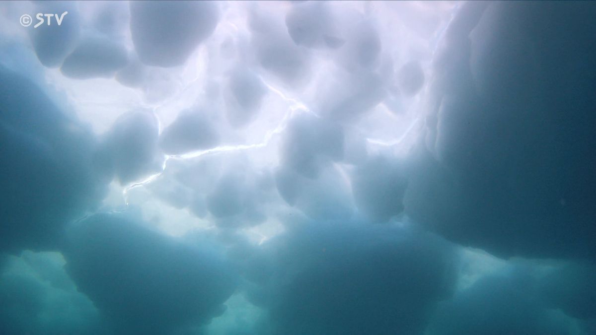 氷の下を泳ぐ…人気の流氷ダイビング（資料映像）