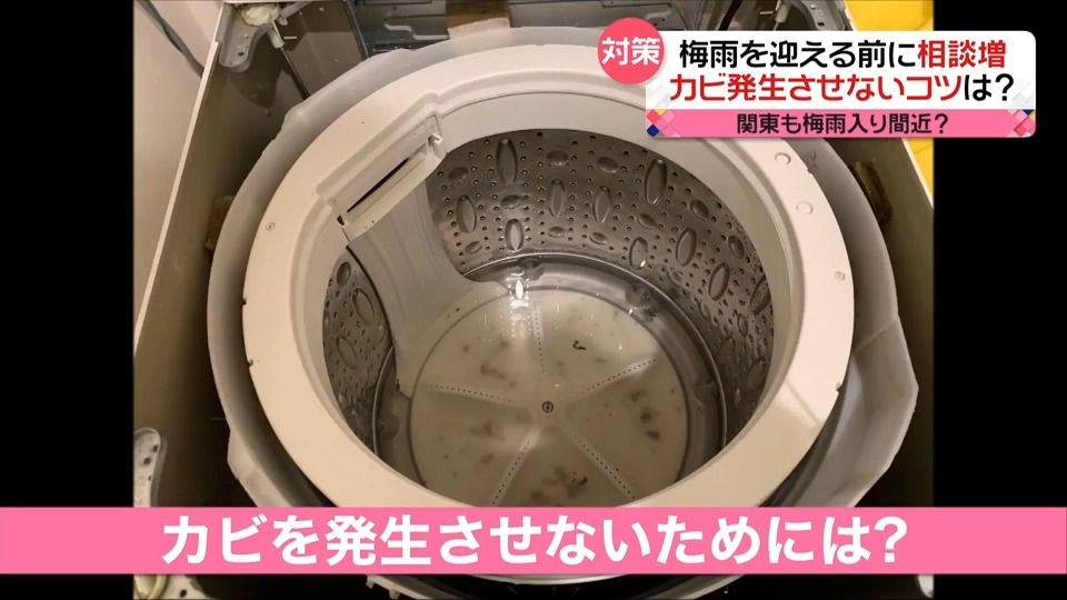 関東も「梅雨入り」迫る　“部屋干し臭”の原因にも…洗濯機のカビどう防ぐ？