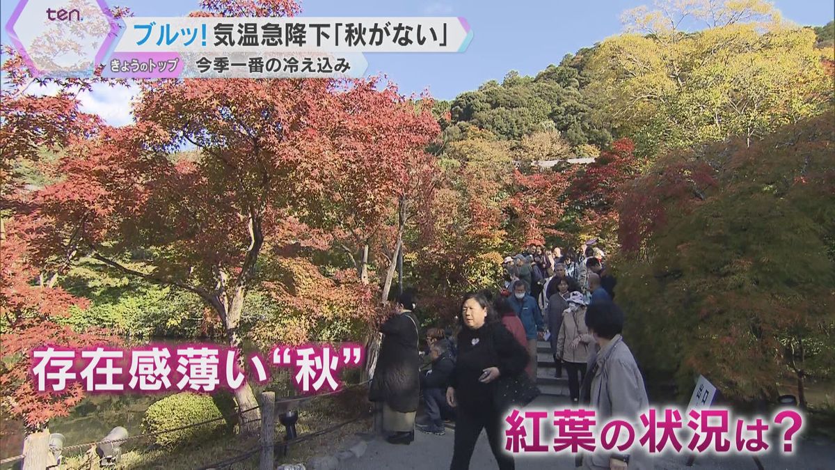 今シーズン一番の冷え込み「春と秋が1週間くらいしかない」京都屈指の紅葉・永観堂は例年より1週遅れ