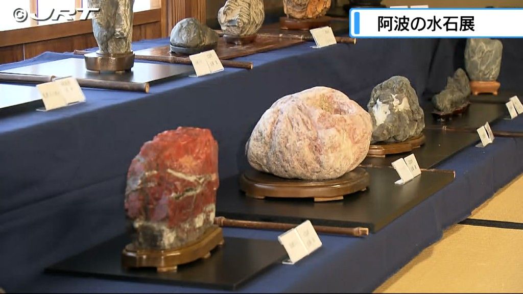 室内で自然石を鑑賞する日本文化「水石」の展示が徳島県徳島市で開催される。（2024年6月7日掲載）｜日テレNEWS NNN