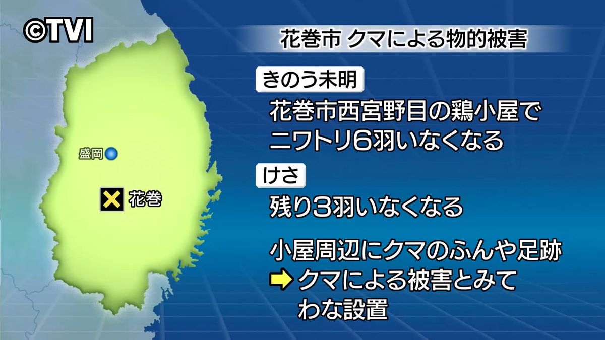 【クマによる被害か】ニワトリいなくなる　鶏小屋周辺にクマのふんや足跡　わな設置　岩手・花巻市