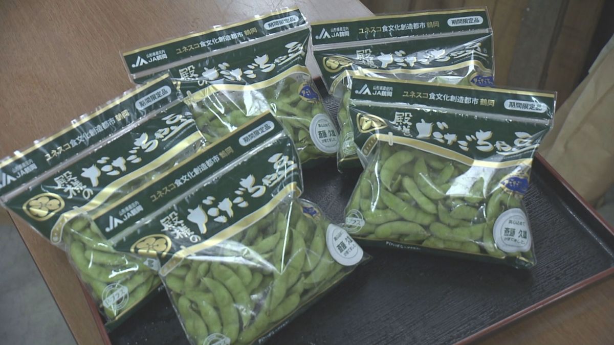 鶴岡市の夏の味覚「だだちゃ豆」　関東の市場に向け出荷始まる　平年並みの740トン出荷目指す