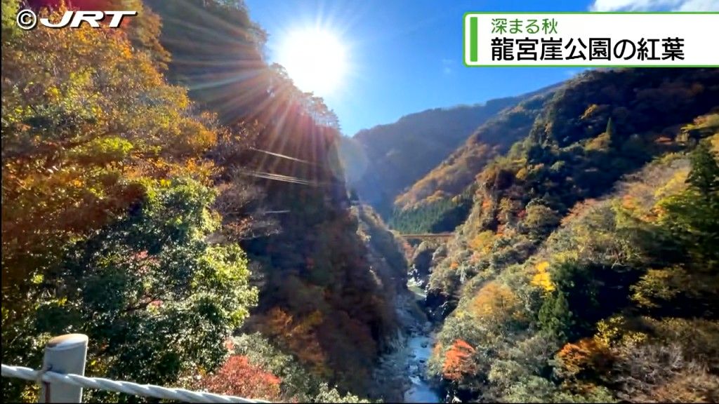 山肌の木々が赤や黄色に染まり絶好の見ごろ 東祖谷の龍宮崖公園の紅葉【徳島】