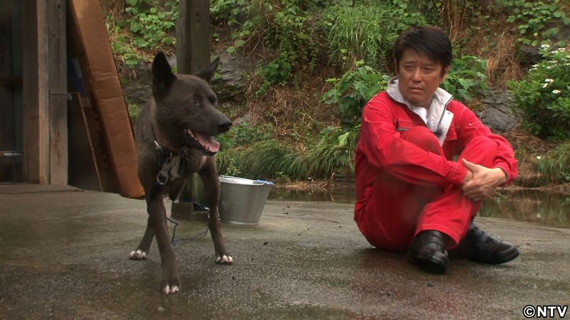 坂上忍、最後の飼い犬は３本足のサン！？