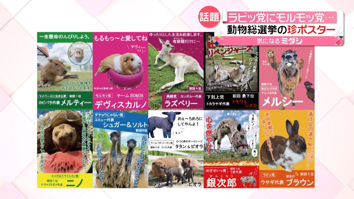 “キャッチコピー”でアピール　動物総選挙