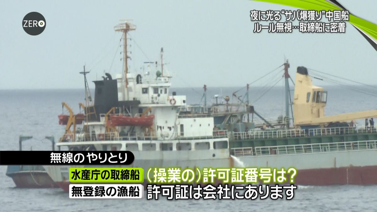 日本近海で乱獲　ルール無視の中国船に迫る