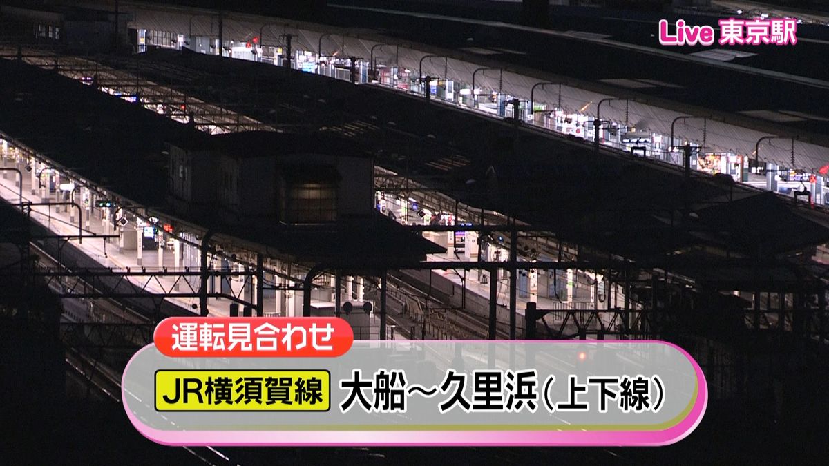 横須賀線、一部で運転見合わせ　沿線で火災