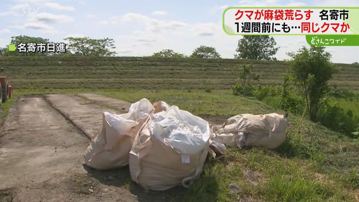 食肉加工工場でまたクマ…防犯カメラに姿が　先月も牛の皮が持ちさられる被害　北海道名寄市