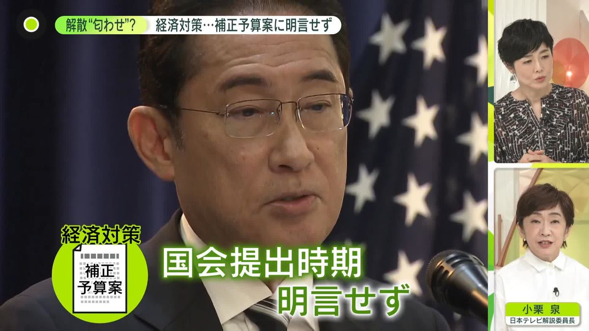 岸田首相“解散”匂わせ？　補正予算案の提出時期“明言せず”　「経済対策」とりまとめ指示に伴い