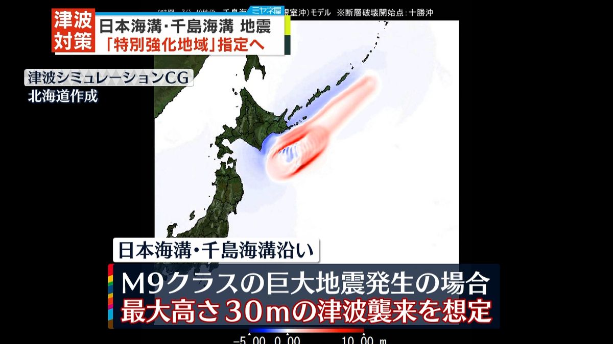 日本・千島海溝地震　津波対策「特別強化地域」指定へ