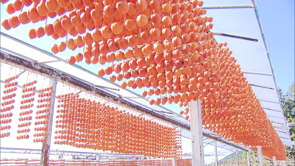 いつもニコニコ…串柿作りが最盛期　和歌山
