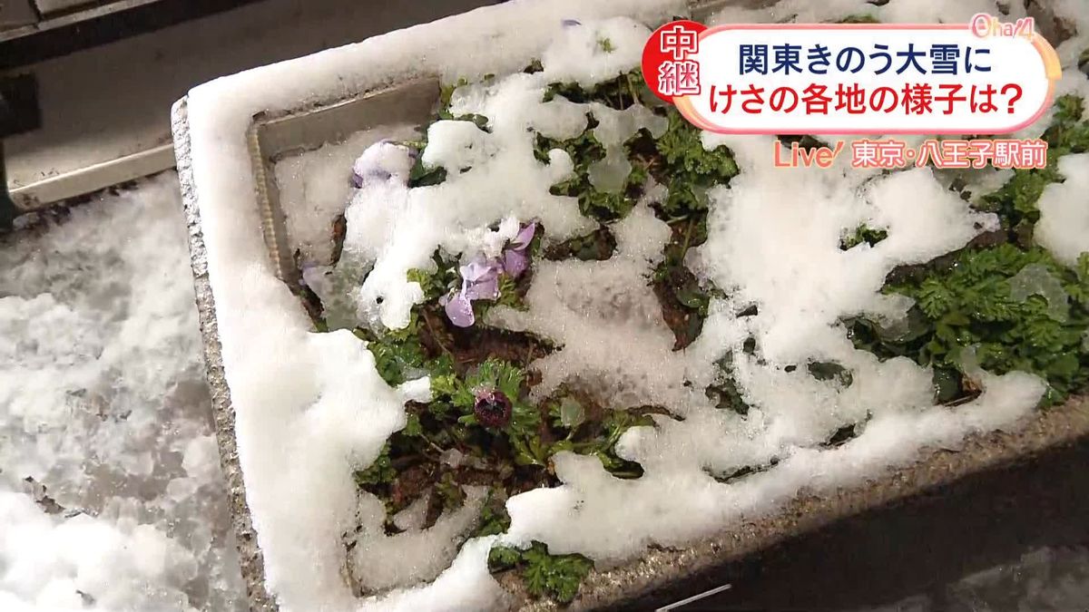 【中継】雪は冷たい雨に…寒さや足もとに注意　東京・八王子駅前