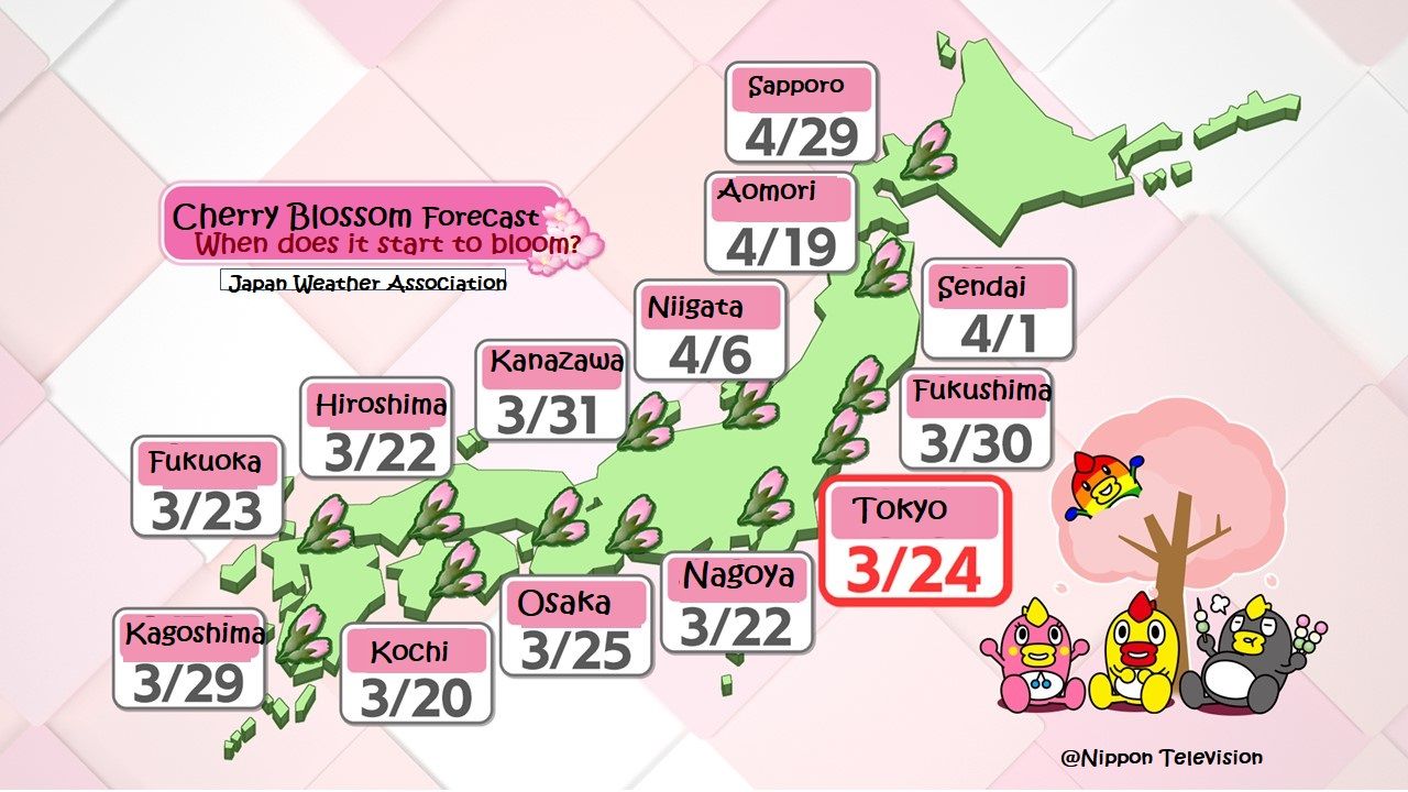 英語で読む】SAKURA-Cherry Blossom Forecast to push back, Tokyo to 