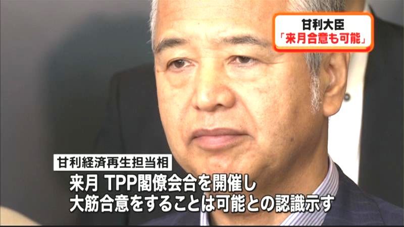 甘利大臣「ＴＰＰ大筋合意、来月できる」