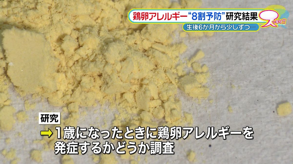 卵の粉末で、鶏卵アレルギーを８割予防